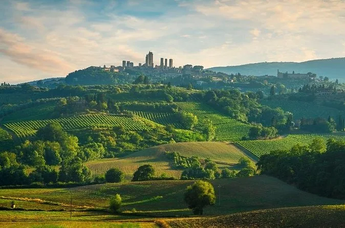The towers of San Gimignano on a hill above green vineyards