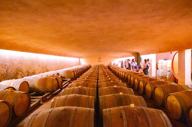 Long rows of oak barrels in a dimly lit winery cellar
