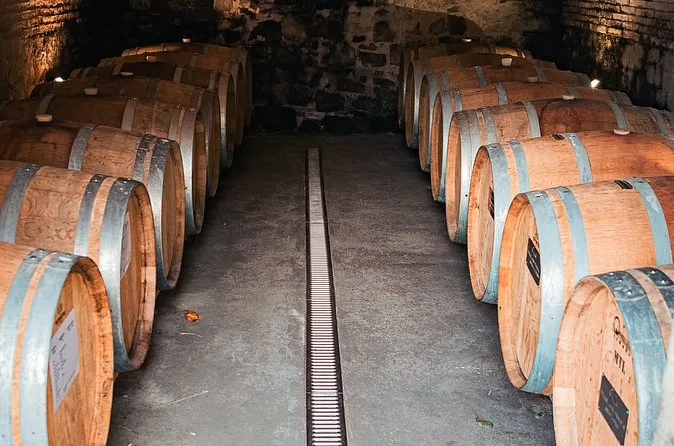 Barrels lining both sides of a long cellar corridor
