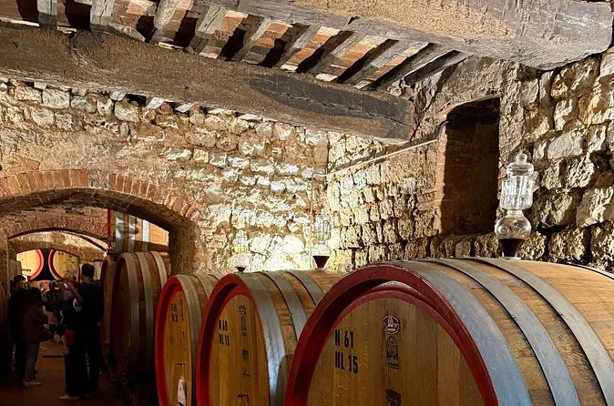 Oak barrels under the stone arches of a Chianti cellar